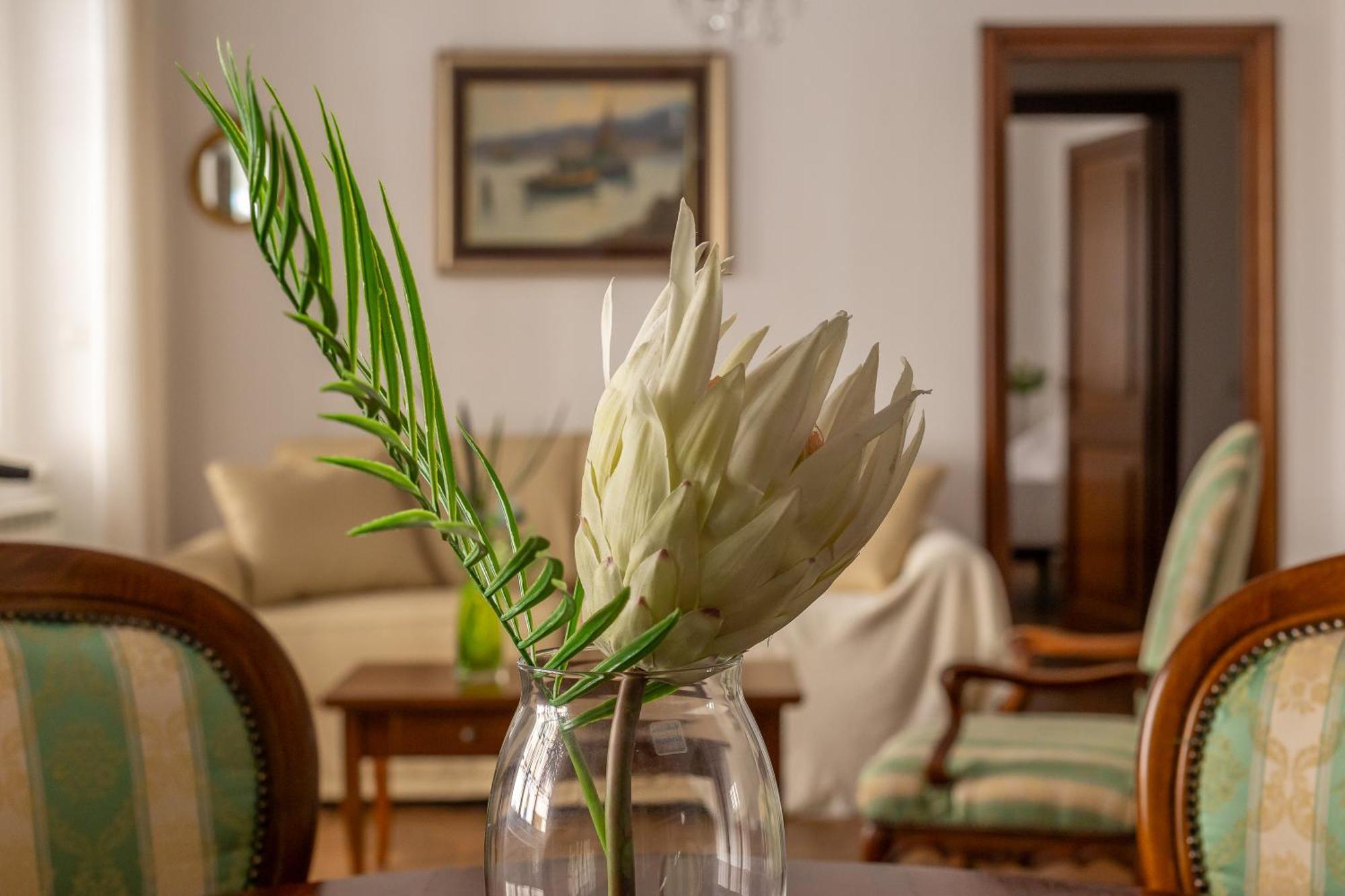 Iflat Vatican Spacious Apartment With Terrace โรม ภายนอก รูปภาพ